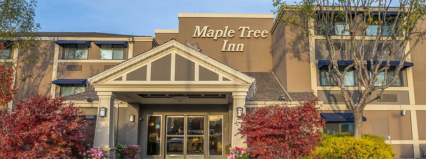 Local News Archives - Maple Tree Inn